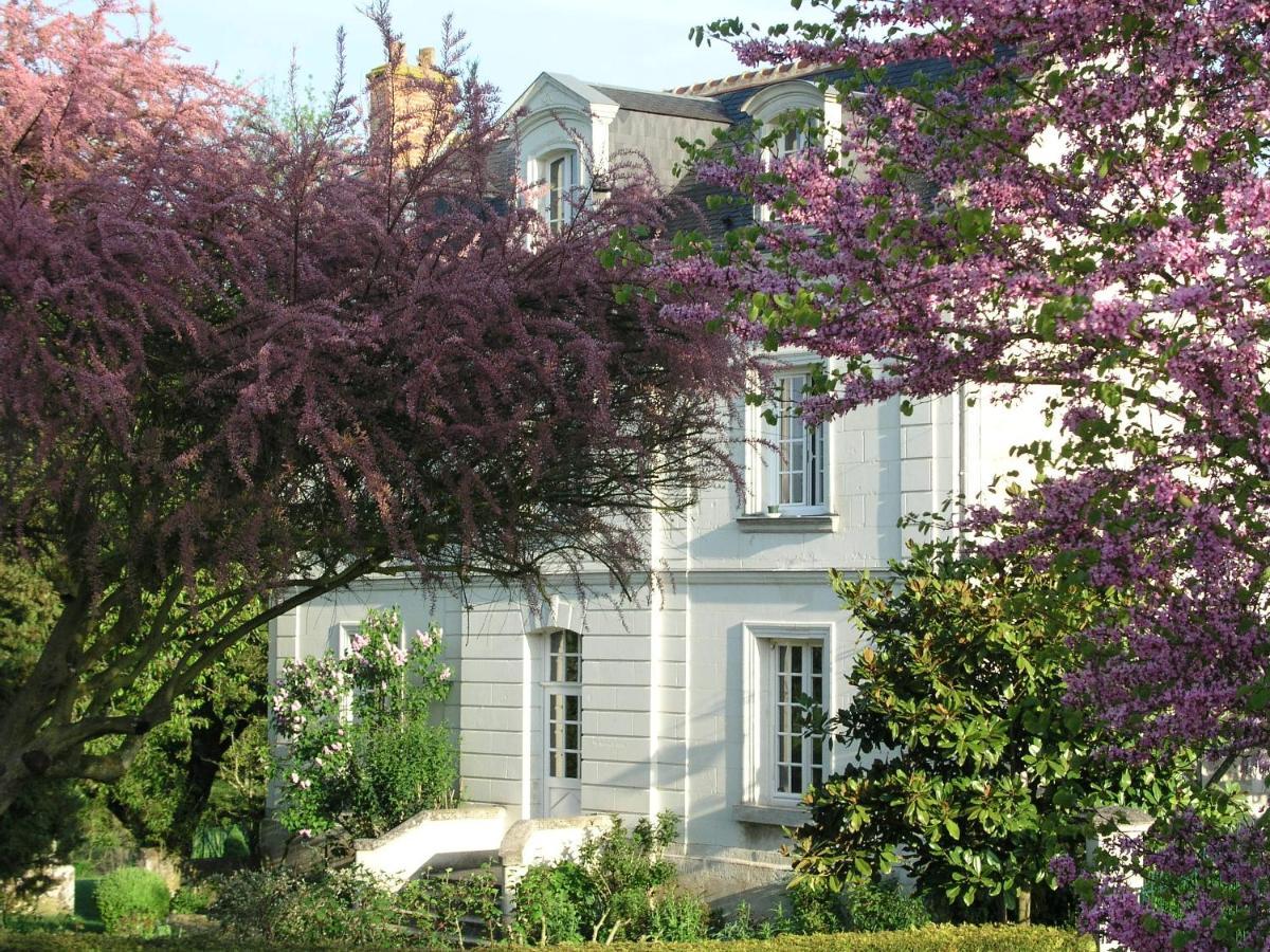 Le Chat Courant Villandry Exterior foto